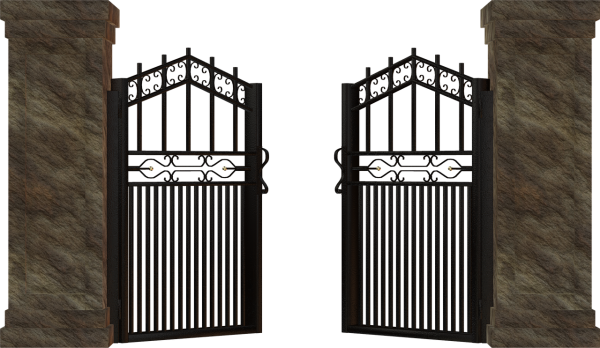 Векторные ворота