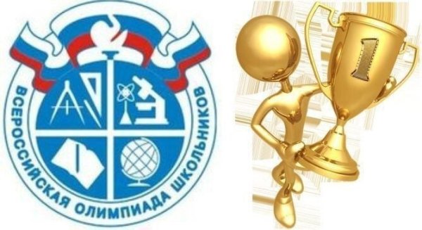 Логотип ВСОШ муниципальный этап