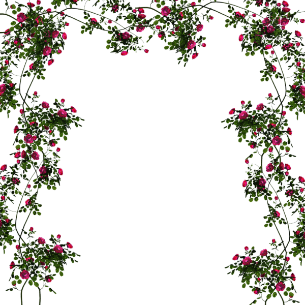 Вьющиеся цветы на прозрачном фоне