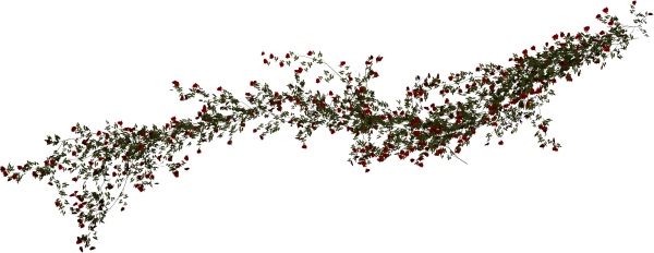 Лоза с шипами и цветами