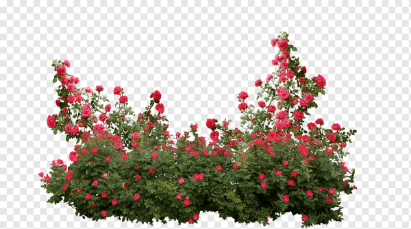 Кусты цветов для фотошопа