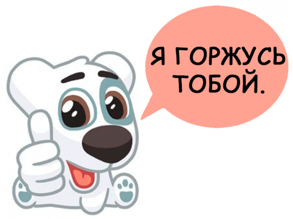 Ты молодец я горжусь тобой