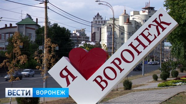 Стелла я люблю Воронеж