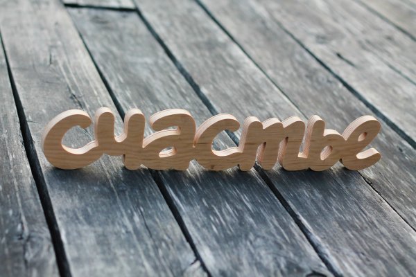 Со словом счастье