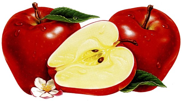 Яблоко анимация