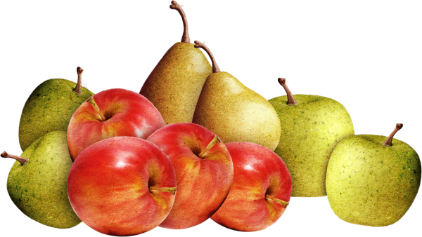 Яблоки и груши на прозрачном фоне