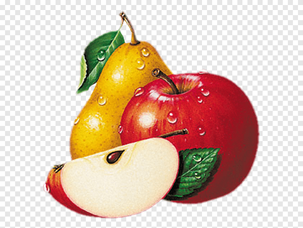 Рисуем фрукты яблоко и груша