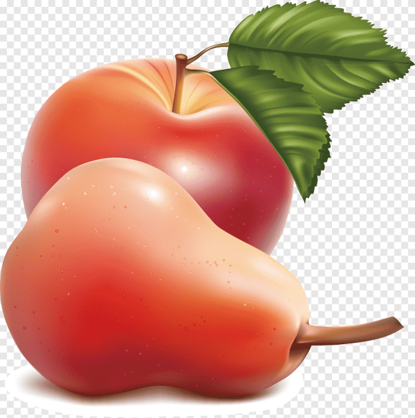 Яблоки и груши