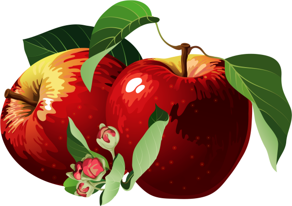 Яблоко вектор
