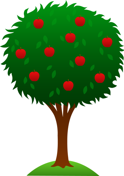 Яблоки на дереве