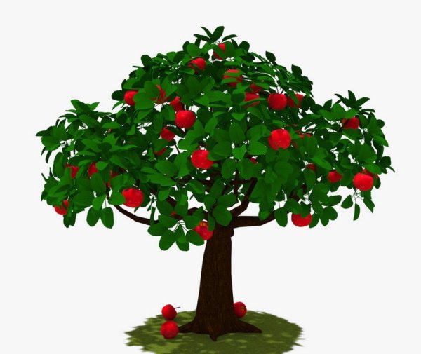 Дерево яблоня с яблоками