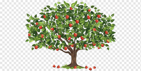 Яблоня на белом фоне