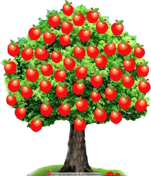 Фруктовые деревья для детей