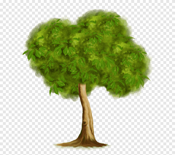 Деревце на белом фоне