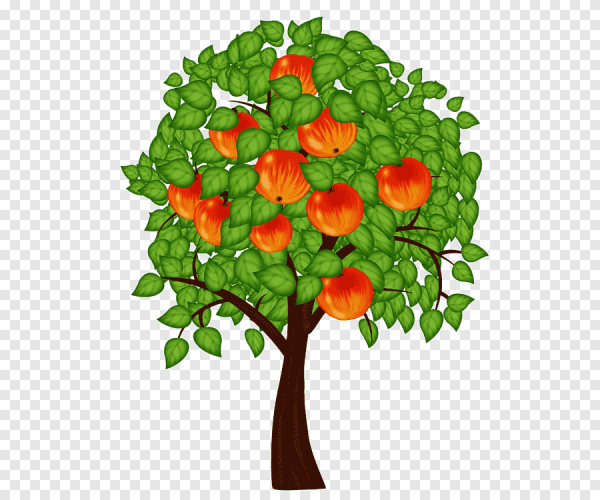 Яблоня для дошкольников