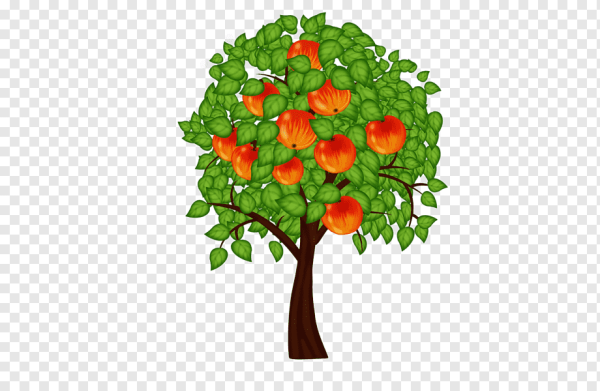 Дерево яблоня на прозрачном фоне