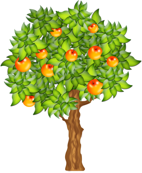 Яблоня для детей