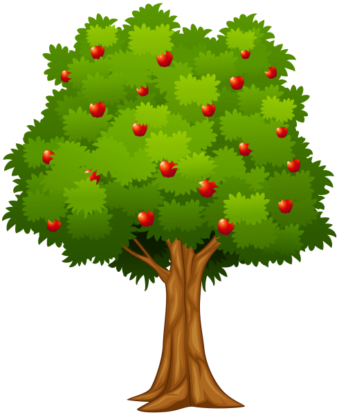 Яблоня для детей