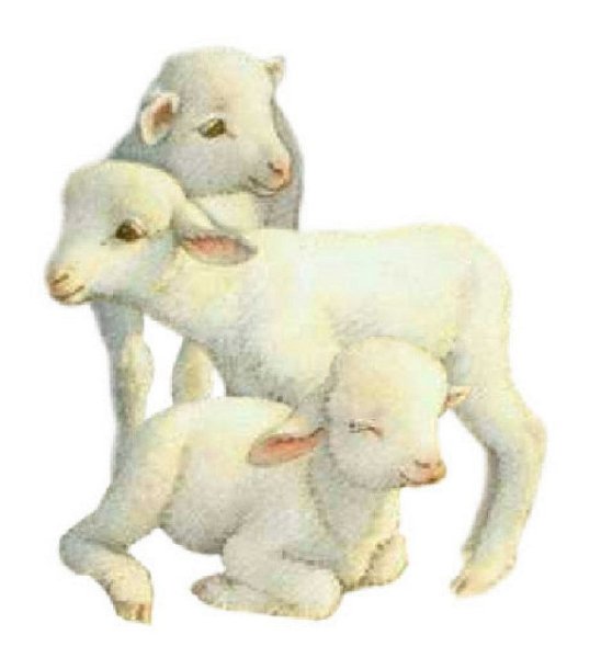 Овца вертеп