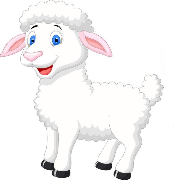 Овца мультяшная на белом фоне
