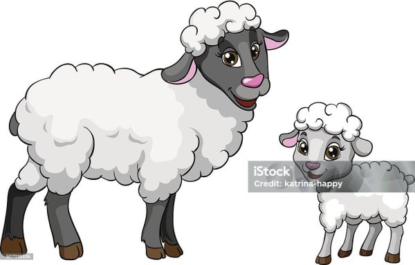Овечка и ягненок для детей прозрачный фон