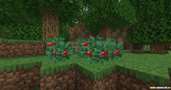 Куст майнкрафт