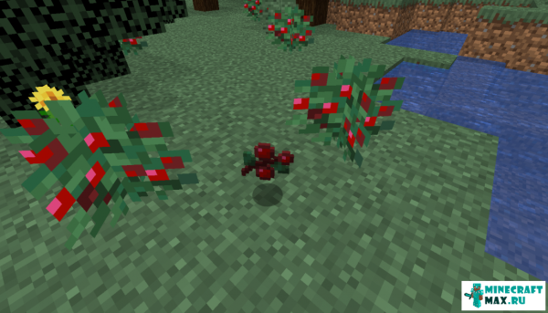 Ягодный куст майнкрафт