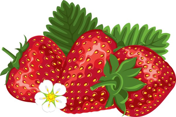 Земляника мультяшная