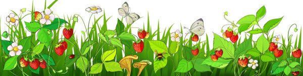 Земляничка на полянке для дошкольников