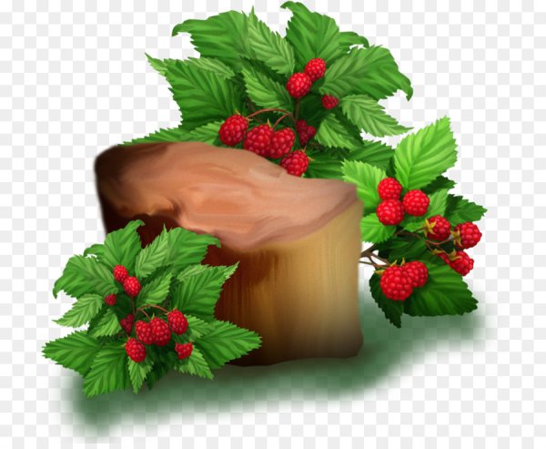 Кустики с ягодами для детей