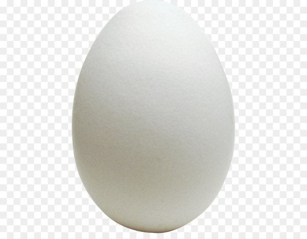 Яйцо без фона