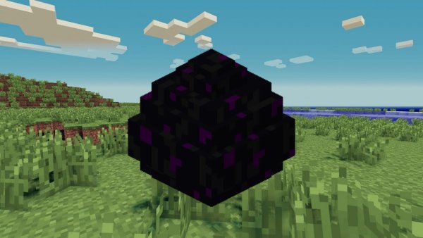 Яйцо ЭГГ ВАРС