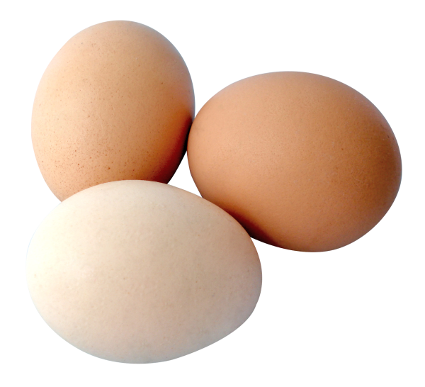 Яйцо на белом фоне