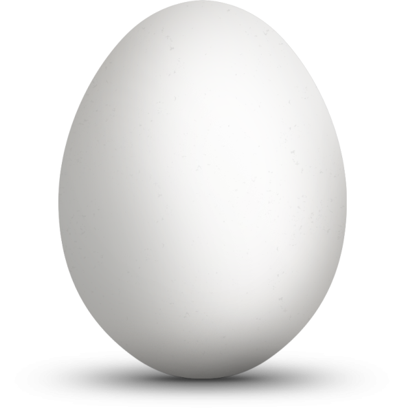Яйцо куриное на белом фоне