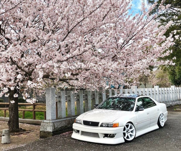 Toyota Mark 2 Сакура