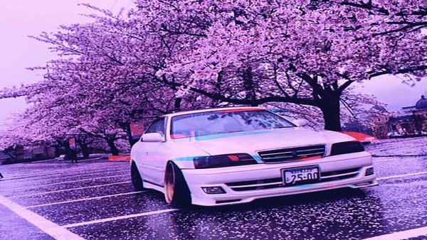 Японские авто на фоне Сакуры