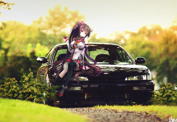 Тянка с машиной