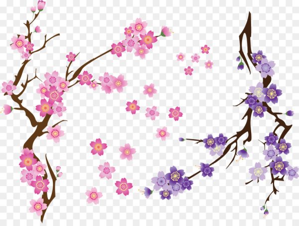 Сакура вектор