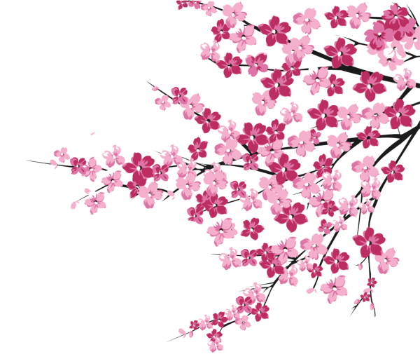 Веточка Сакуры