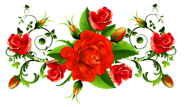 Цветы на прозрачном фоне