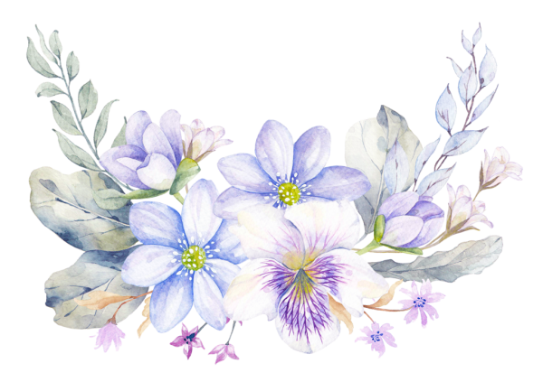 Акварельные цветы на прозрачном фоне