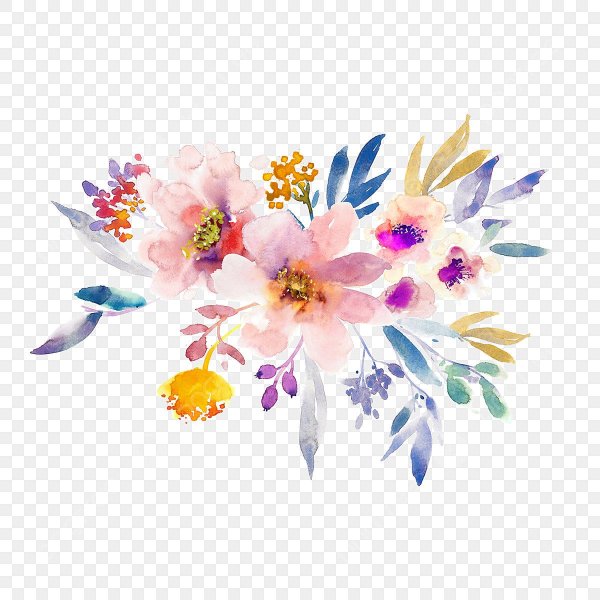 Акварельные цветы на белом фоне