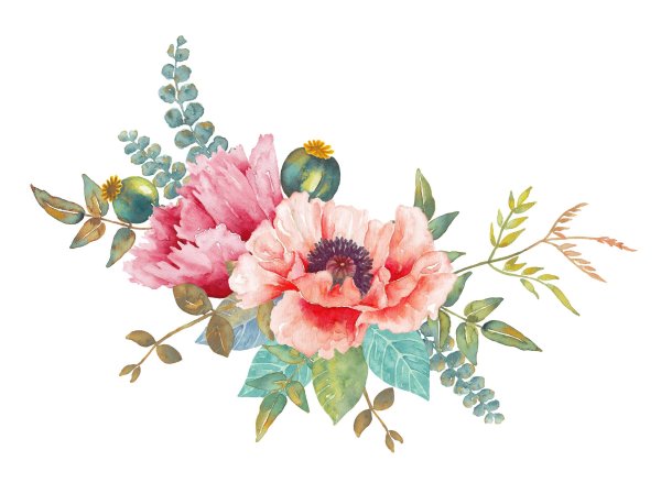 Цветы акварель на прозрачном фоне
