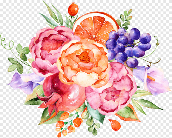 Акварельные фрукты и цветы