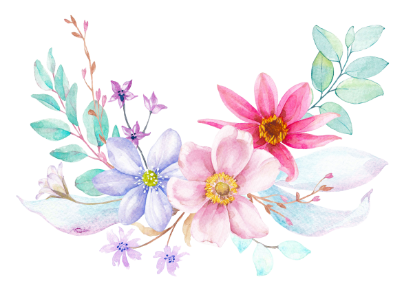 Цветы акварелью на белом фоне