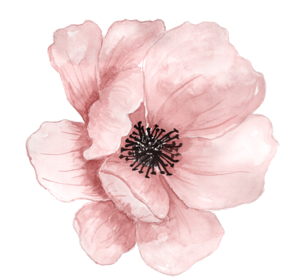 Прозрачные Акварельные цветы