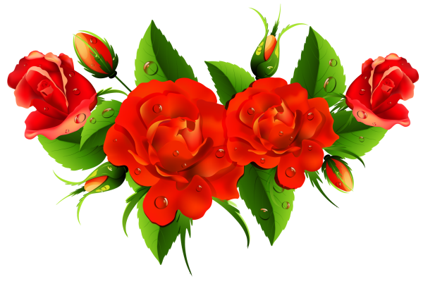 Красные розы вектор