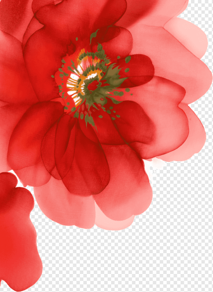 Прозрачные цветы