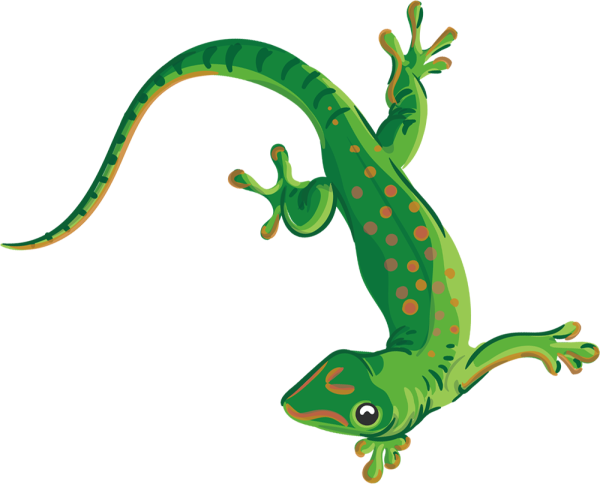 Ящерица на прозрачном фоне для фотошопа