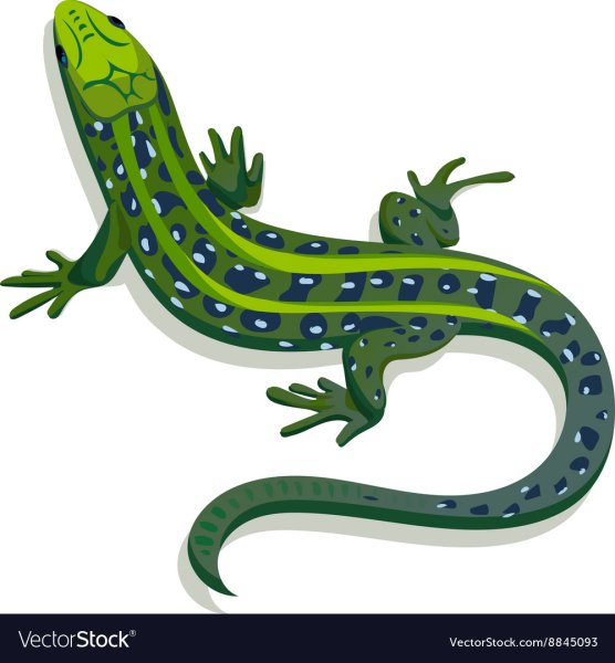 Ящерица для детей